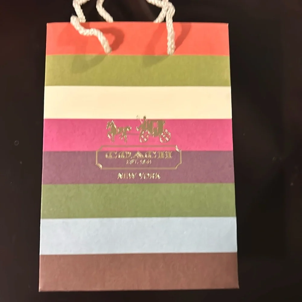 Striped Coach gift bag. Fits wristlet. - Picture 1 of 3